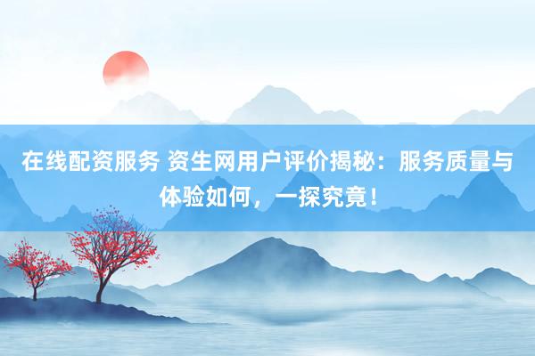 在线配资服务 资生网用户评价揭秘：服务质量与体验如何，一探究竟！