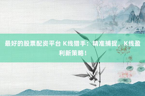 最好的股票配资平台 K线猎手：精准捕捉，K线盈利新策略！