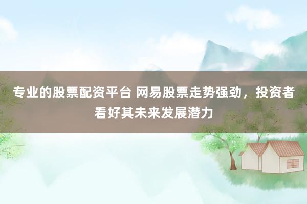 专业的股票配资平台 网易股票走势强劲，投资者看好其未来发展潜力