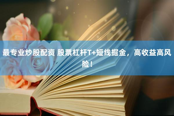 最专业炒股配资 股票杠杆T+短线掘金，高收益高风险！