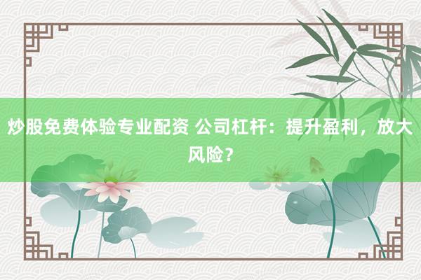 炒股免费体验专业配资 公司杠杆：提升盈利，放大风险？