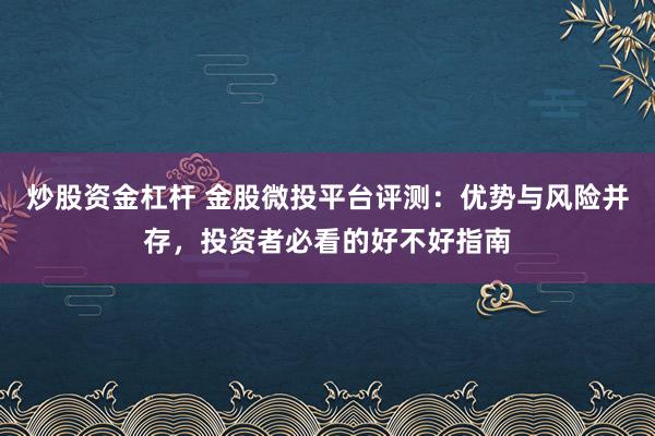 炒股资金杠杆 金股微投平台评测：优势与风险并存，投资者必看的好不好指南